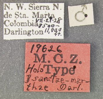 Media type: image;   Entomology 19626 Aspect: labels